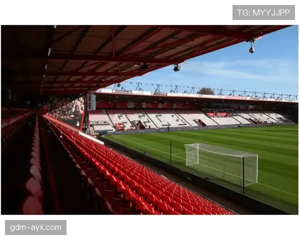 伯恩茅斯活力球场将迎来全新赛事，球迷热盼精彩对决