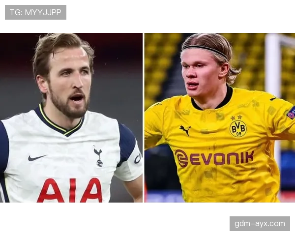 哈兰德与凯恩:终结效率和全能参与度对比分析 哈兰德与凯恩:终结效率和全能参与度对比分析